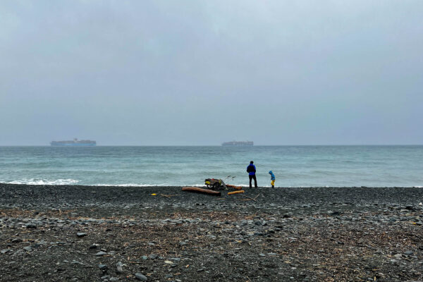 Toedi_Total_2025_032